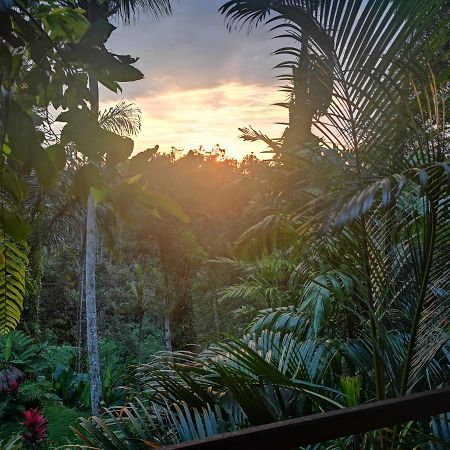 Villa Rimba Ubud Tegallalang  Exterior photo