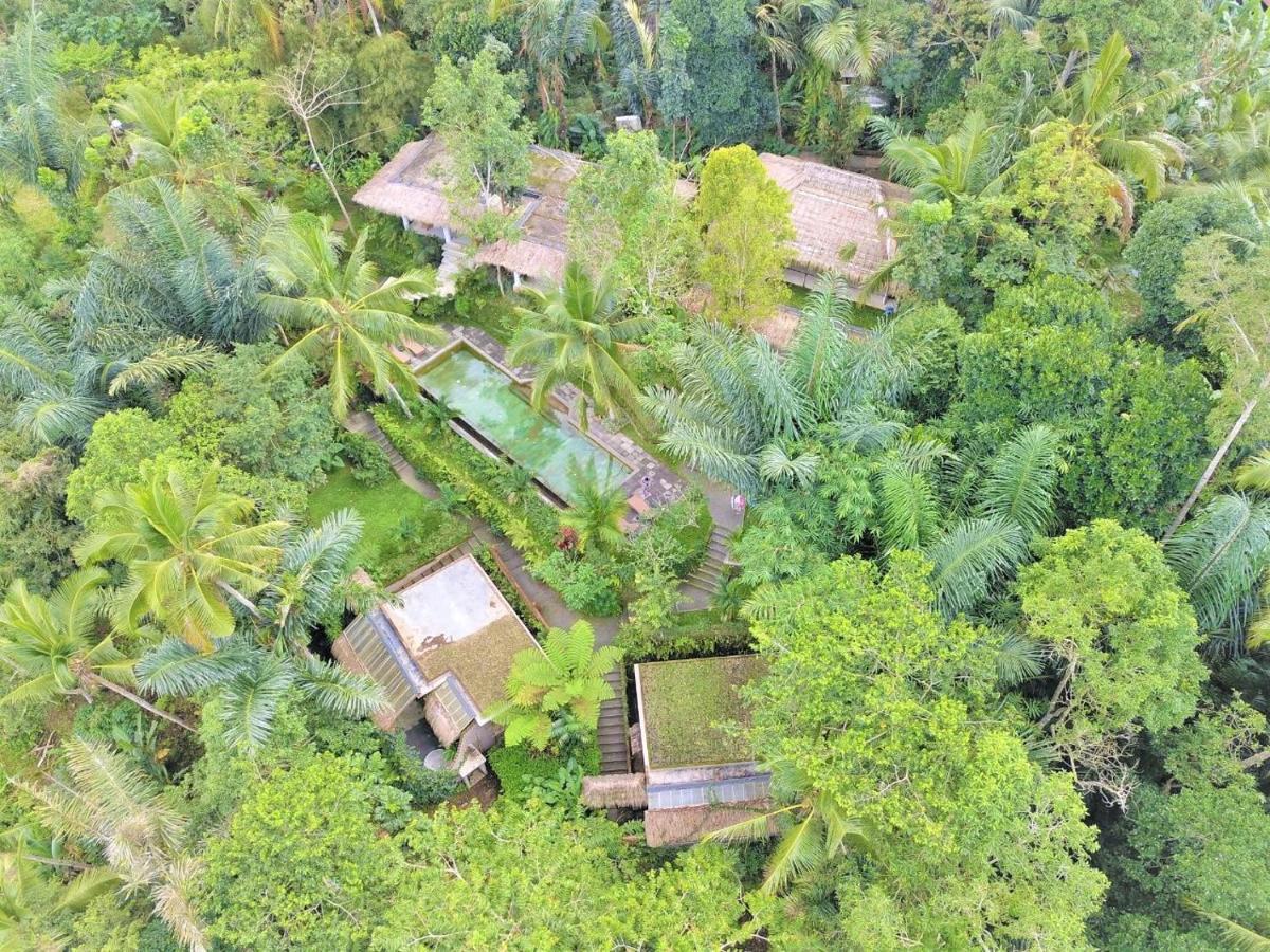 Villa Rimba Ubud Tegallalang  Exterior photo