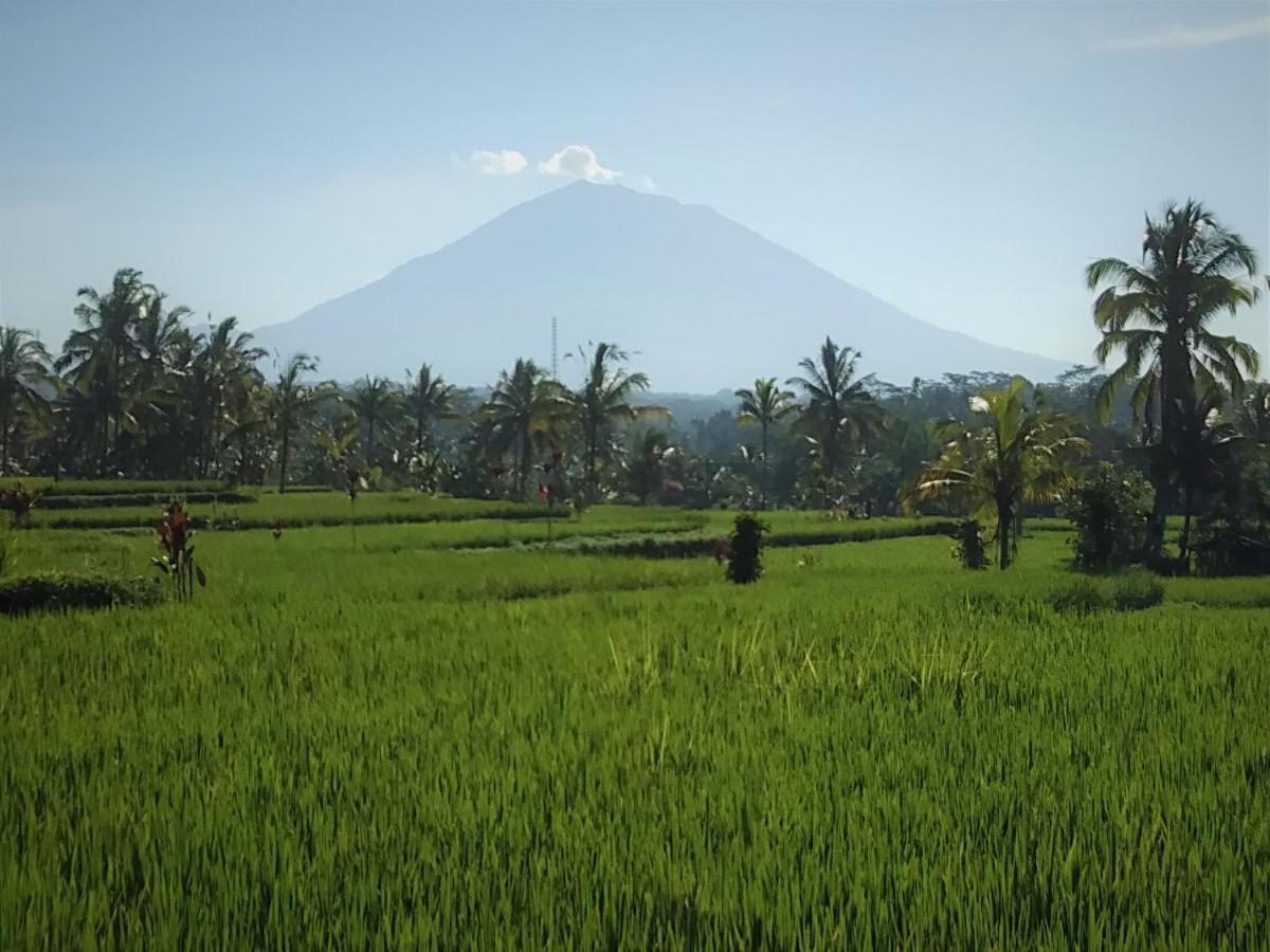 Villa Rimba Ubud Tegallalang  Exterior photo